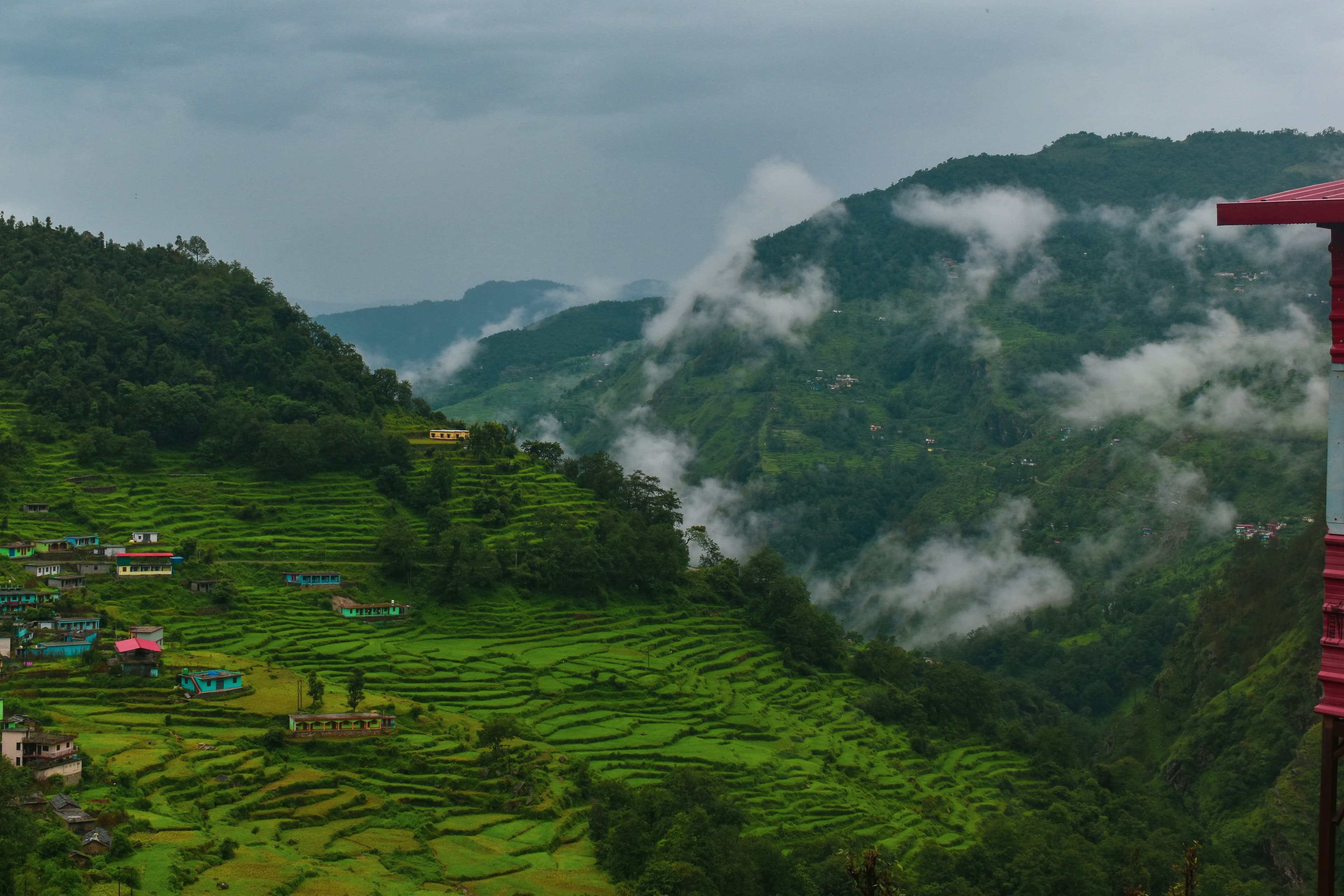 Beautiful Coorg landscape with lush green coffee estates and misty mountains - Thakshil Villa Stay homestay view